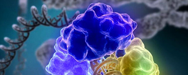 Американские ученые обнаружили белок, блокирующий ВИЧ, Эболу и другие смертельные вирусы